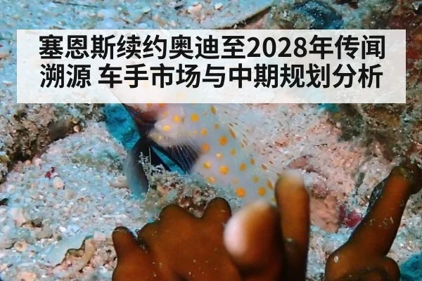 塞恩斯续约奥迪至2028年传闻溯源 车手市场与中期规划分析
